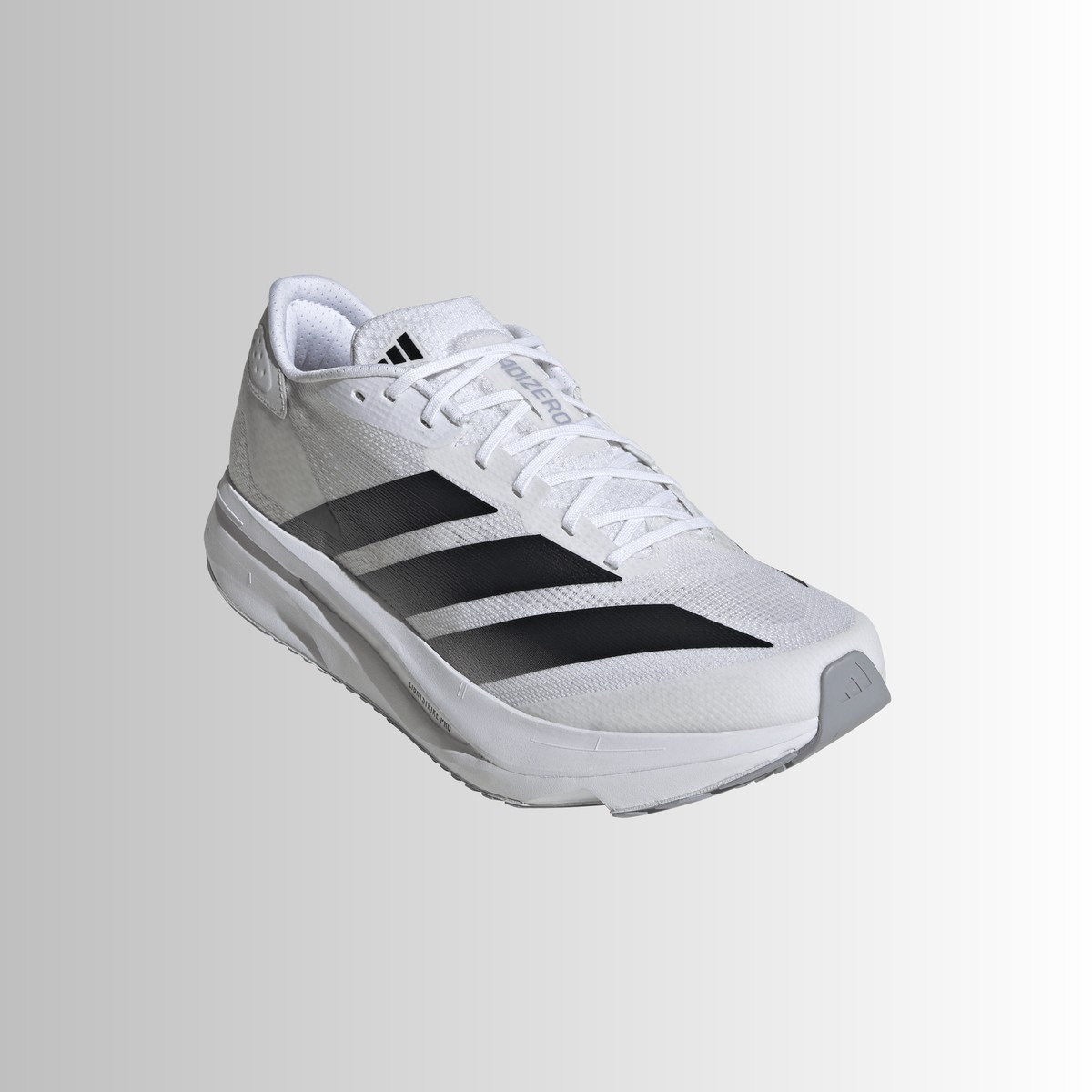 SL 2 Image 1