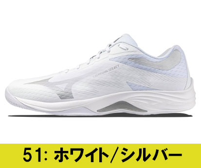V1GA267051